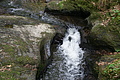 DSC02341 - Bernhard Saalfeld
