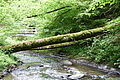 DSC02343 - Bernhard Saalfeld