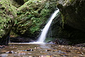 DSC02354 - Bernhard Saalfeld