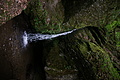 DSC02364 - Bernhard Saalfeld
