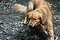 DSC02374 - Bernhard Saalfeld