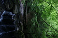DSC02377 - Bernhard Saalfeld