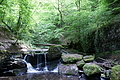 DSC02380 - Bernhard Saalfeld