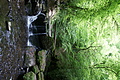 DSC02381 - Bernhard Saalfeld
