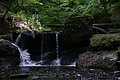 DSC02385 - Bernhard Saalfeld