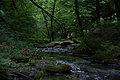 DSC02396 - Bernhard Saalfeld