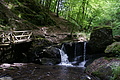 DSC02404 - Bernhard Saalfeld