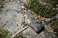 DSC02407 - Bernhard Saalfeld
