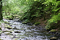 DSC02408 - Bernhard Saalfeld