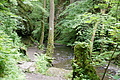 DSC02409 - Bernhard Saalfeld