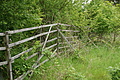 DSC02429 - Bernhard Saalfeld