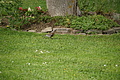 DSC02439 - Bernhard Saalfeld
