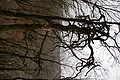 DSC05968 - Bernhard Saalfeld