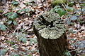 DSC05973 - Bernhard Saalfeld