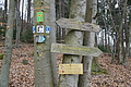 DSC05974 - Bernhard Saalfeld