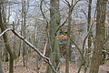 DSC05984 - Bernhard Saalfeld