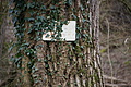 DSC05991 - Bernhard Saalfeld