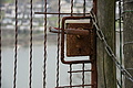 DSC05993 - Bernhard Saalfeld