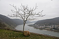 DSC06002 - Bernhard Saalfeld