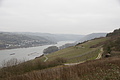 DSC06004 - Bernhard Saalfeld