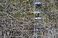 DSC06007 - Bernhard Saalfeld
