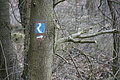 DSC06010 - Bernhard Saalfeld