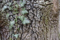 DSC06013 - Bernhard Saalfeld