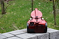 DSC06018 - Bernhard Saalfeld