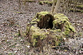 DSC06019 - Bernhard Saalfeld