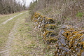DSC06022 - Bernhard Saalfeld