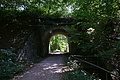 DSC08203 - Bernhard Saalfeld