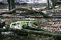 DSC08235 - Bernhard Saalfeld