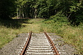 DSC08236 - Bernhard Saalfeld