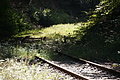 DSC08238 - Bernhard Saalfeld