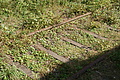 DSC08252 - Bernhard Saalfeld