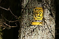 DSC08254 - Bernhard Saalfeld