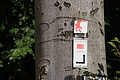 DSC08255 - Bernhard Saalfeld