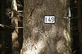 DSC08270 - Bernhard Saalfeld