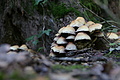 DSC08289 - Bernhard Saalfeld