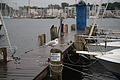 DSC09381 - Bernhard Saalfeld