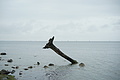 DSC09401 - Bernhard Saalfeld