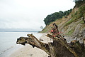 DSC09407 - Bernhard Saalfeld