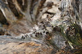 DSC09418 - Bernhard Saalfeld