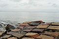 DSC09419 - Bernhard Saalfeld