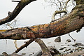 DSC09423 - Bernhard Saalfeld