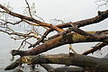DSC09424 - Bernhard Saalfeld