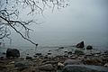 DSC09427 - Bernhard Saalfeld