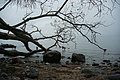 DSC09428 - Bernhard Saalfeld