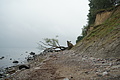 DSC09429 - Bernhard Saalfeld