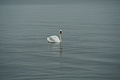 DSC09437 - Bernhard Saalfeld